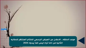 موعد الحلقة.. الإعلان عن العرض الرسمي للختام المنتظر للحكاية الثانية من «ما تراه ليس كما يبدو» 2024
